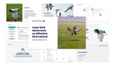 Collage mostrando distintas diapositivas de la presentación general de Bird Control Group