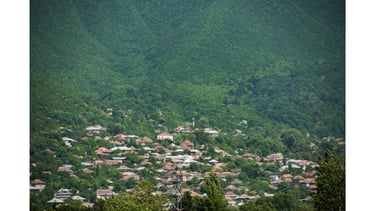 a bird's eye view of a town with a church and a mountain in