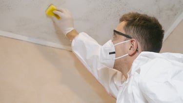 Worker repairing mold damaged ceiling.