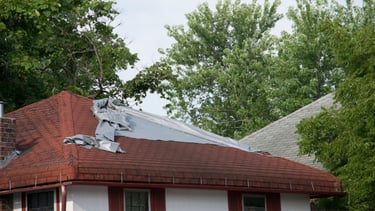 Unrepaired roof with water damage.