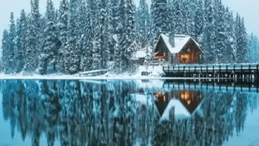 Private shuttle van offering direct transportation to Moraine Lake