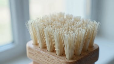 Close-up of unvarnished beechwood and tampico fiber bristles, bright natural window light, soft blue tones.