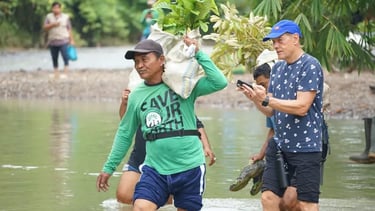 PROJECT WINGS SUMATRA