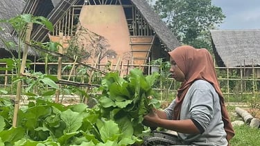 PROJECT WINGS SUMATRA