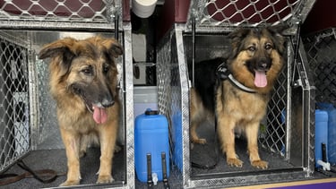 More Happy Customers