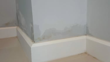 Uninhabitable UK house with damp walls and rot eligible for stamp duty refund