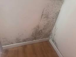 Derelict UK property under major repair works qualifying for stamp duty relief due to uninhabitable 