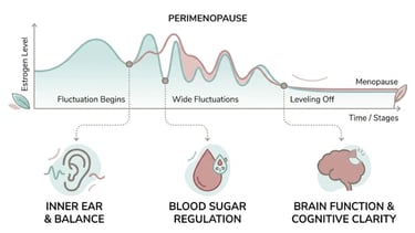 Perimenopause Dizziness: Causes, Triggers & Solutions