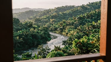 Panoramic view of lush forested hills across a flowing river, seen from a wooden veranda, soft diffused daylight, rich forest green tones, shallow depth of field, 35mm film.
