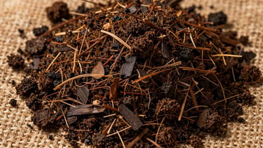 Overhead study of rich dark compost and organic mulch on a natural jute surface, golden diffused daylight from the upper left, visible soil texture with leaf fragments and fine root matter, macro detail, no packaging, no labels
