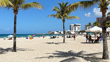 seguro para turistas que cruzan a mexico en auto