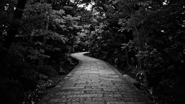 Wide panoramic black and white photograph of a stone path winding through a dense, shadowy Kyoto forest, soft natural light filtering through leaves, minimalist composition, deep shadows, 35mm film grain