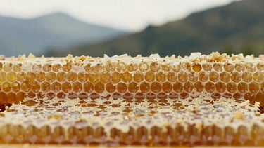 Close-up macro shot of raw honeycomb inside a super chamber, filled with golden amber honey, soft diffused mountain daylight, shallow depth of field, raw beeswax gold tones