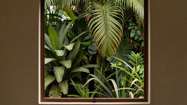 A beautifully framed window showing lush greenery outside, contrasting with the minimalist medium beige interior walls. South American &amp;#x2F; Brazilian setting.