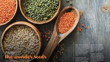 Story about pulses, a sustainable food, entitled Wonder Seeds, in the trend report Trendwatch Hotel Inspiring Great Buffets