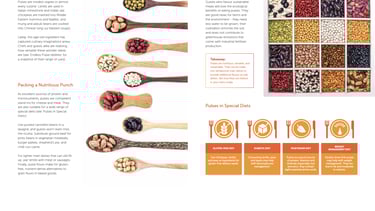 Story about pulses, a sustainable food, entitled Wonder Seeds, in the trend report Trendwatch Hotel Inspiring Great Buffets