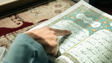 Personalized one-on-one lessons with dedicated teaching