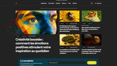 Site internet Le Feed