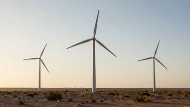 Panoramic wide shot of a large wind turbine installation in an open Gulf desert landscape, three turbines in mid-ground and background under a bright hazy sky, sparse scrubland at the base, golden hour light warming the steel towers from the left, vast empty terrain extending to the right