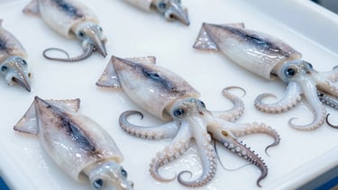 High-key industrial shot of clean, processed octopus and squid on a sterile white background, sharp focus, 35mm.
