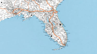 High-contrast map of South Florida, focusing on the Tampa Bay area, with major cities and coastline clearly marked. Bright, direct sunlight effect.