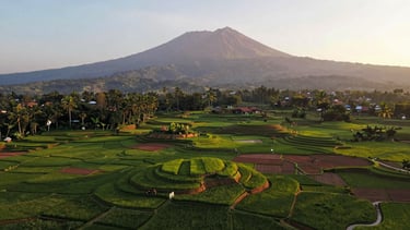 Panoramic environmental drone shot of lush green agricultural land and terraced rice fields in Cigombong, Mount Salak majestic in the background under soft golden hour sun, 35mm lens