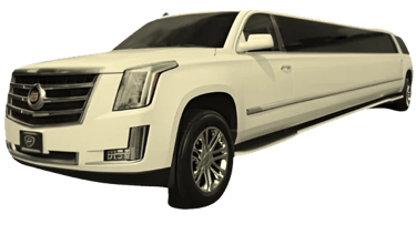 Chauffeur-driven luxury shuttle traveling through Banff National Park