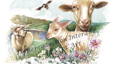 Aquarelle – collection Animaux d’élevage : brebis en Lozère – cadeau original et unique – JDG Loz’Ar