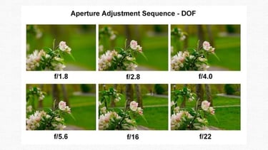 Hướng dẫn lựa chọn khẩu độ tối ưu cho từng chủ đề nhiếp ảnh khác nhau