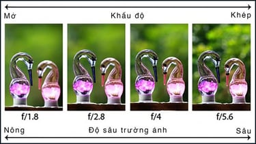 Tìm hiểu định nghĩa khẩu độ là gì và cách hoạt động của ống kính