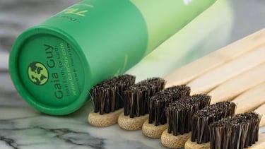 Gaia Guy horsehair natural bamboo toothbrush: The Best Organic Toothbrush