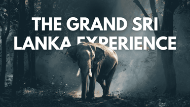 The Grand Sri Lanka Experience