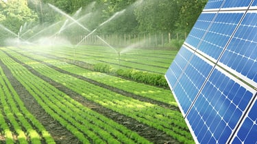 Tarımsal sulama ve sera güneş paneli sistemi.