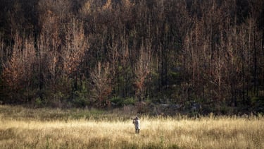 Martin Osner photographing in a golden field at the edge of a burnt forest, camera in hand.