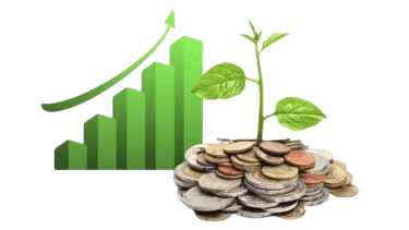 a plant growing from a pile of coins