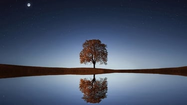 a tree on the horizon reflected in a body of water