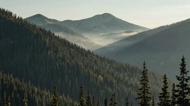 A professional and cinematic landscape photograph of a North American mountain range at dawn. The scene features dense evergreen forests and mist rolling through the peaks. The lighting is soft and natural, using a palette of deep forest green, sage, and misty sky blue. Minimalist and calm style.