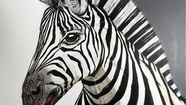 Zebre
