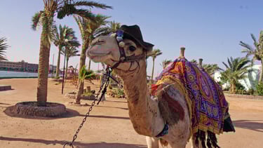 cidade de Hurghada, mar vermelho, Egito