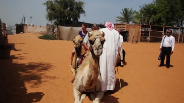 foto do camelo no heritage village em abu dhabi