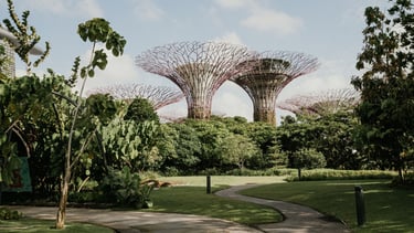 vista da garden trees em singapura