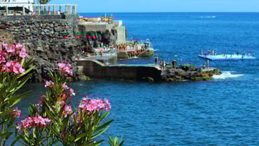 foto das piscinas naturais de funchal