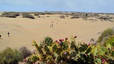 vista das dunas Maspalomas em Gran Canaria