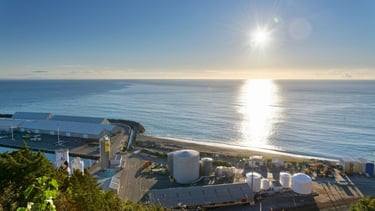 Cidade de Napier em contraste com o azul do mar.