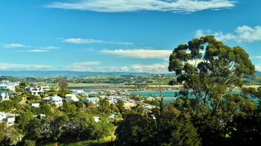 Vista panorâmica de Napier, com casas espalhadas entre colinas verdes e o mar ao fundo.