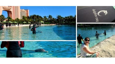 Autora em passeio pelo Dolphin Cay no Atlantis em Nassau, com golfinho ao fundo