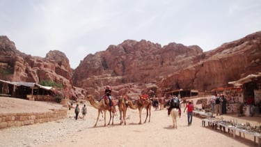 Vista da cidade baixa de Petra, com as ruínas ao fundo e camelos descansando nas proximidades.