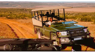 Jeeps em tour de safári no Addo Elephant Park, em Port Elizabeth (Nelson Mandela Bay), com destaque para regras de segurança