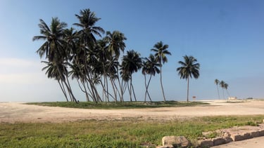 foto da haffa beach em salalah
