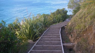 Foto da trilha do Monte Maunganui, com vegetação ao redor e vista parcial do mar ao fundo.